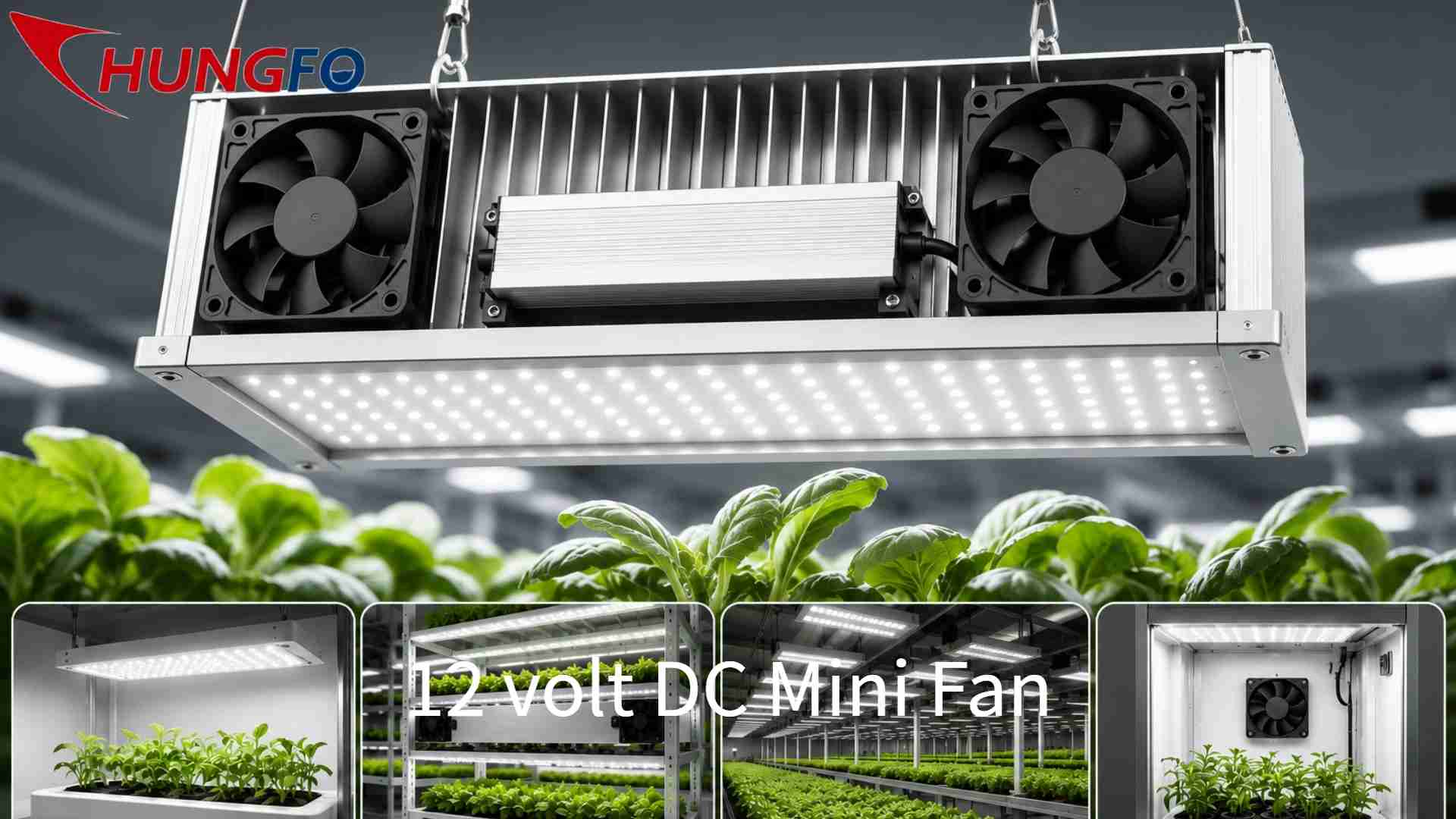 Pourquoi un mini ventilateur axial est-il le choix privilégié pour la gestion thermique des lampes de culture LED ?